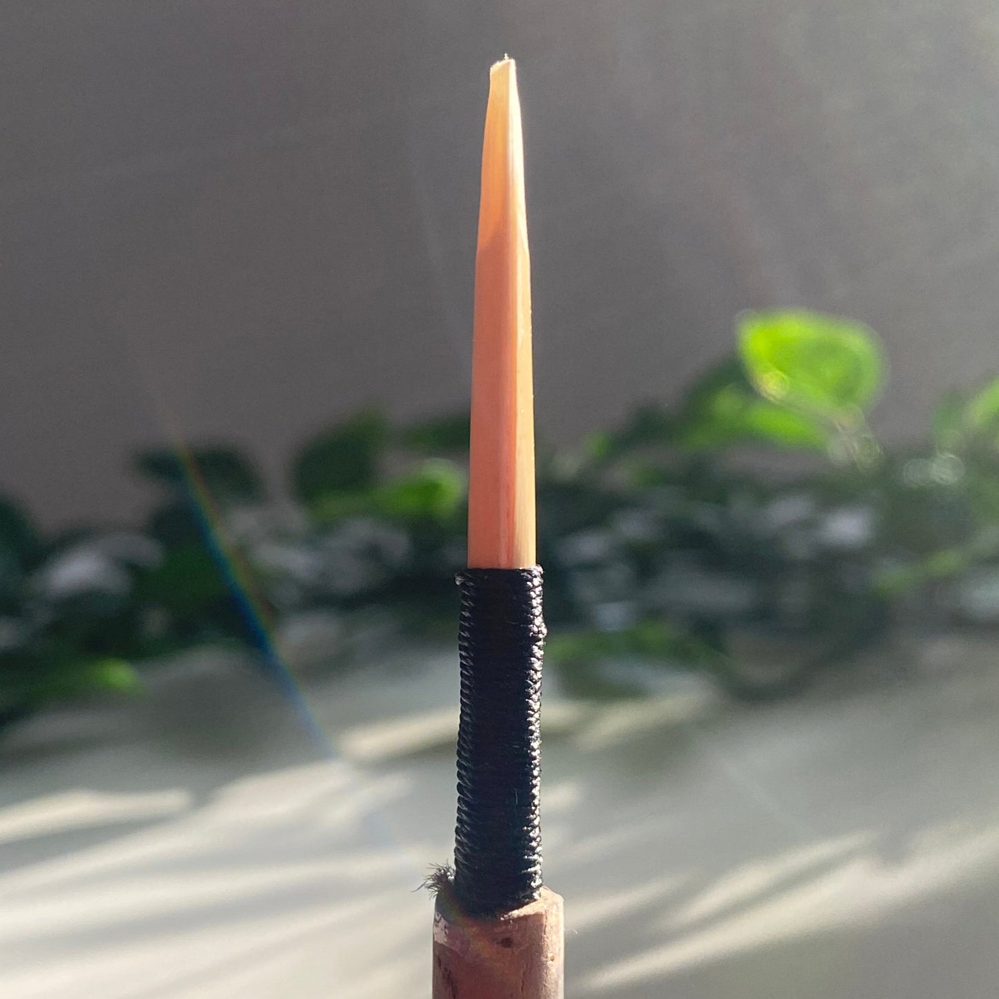 Student Oboe Reed