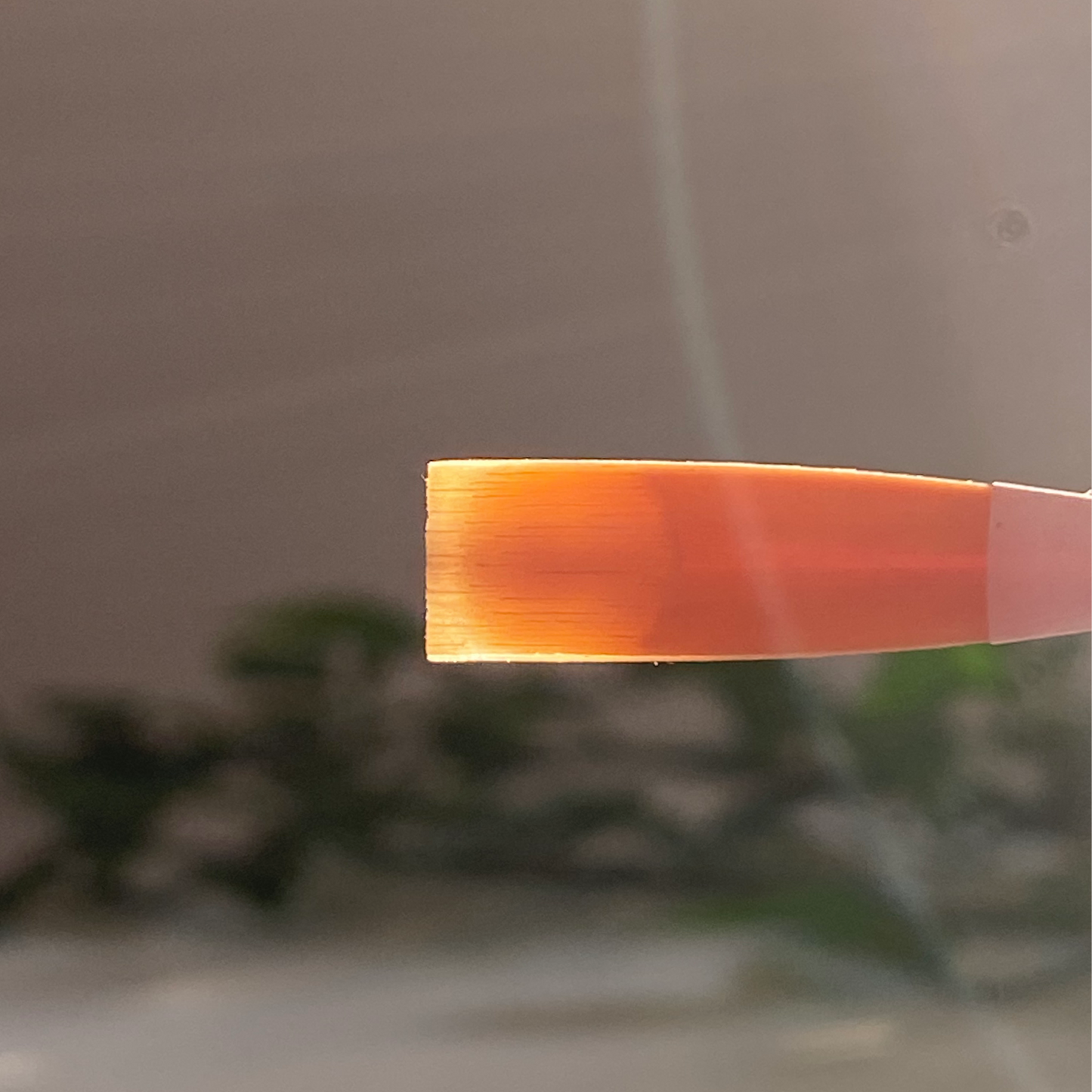 Advanced Oboe Reed