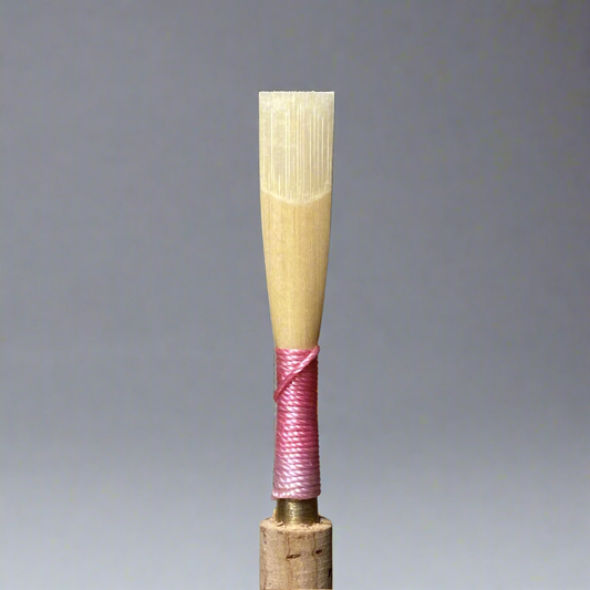 Unfinished Oboe Reed