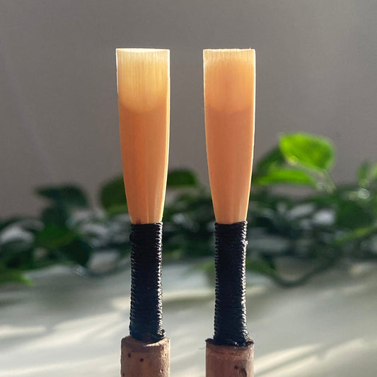 Advanced Oboe Reed