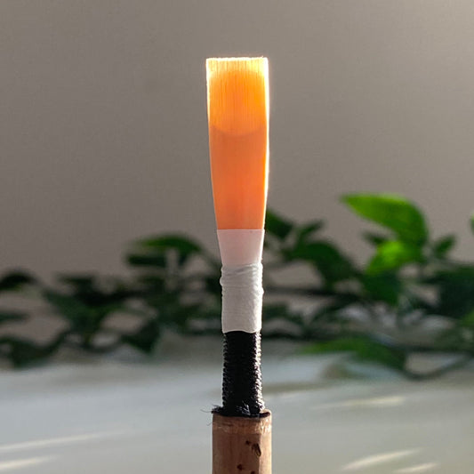 Student Oboe Reed